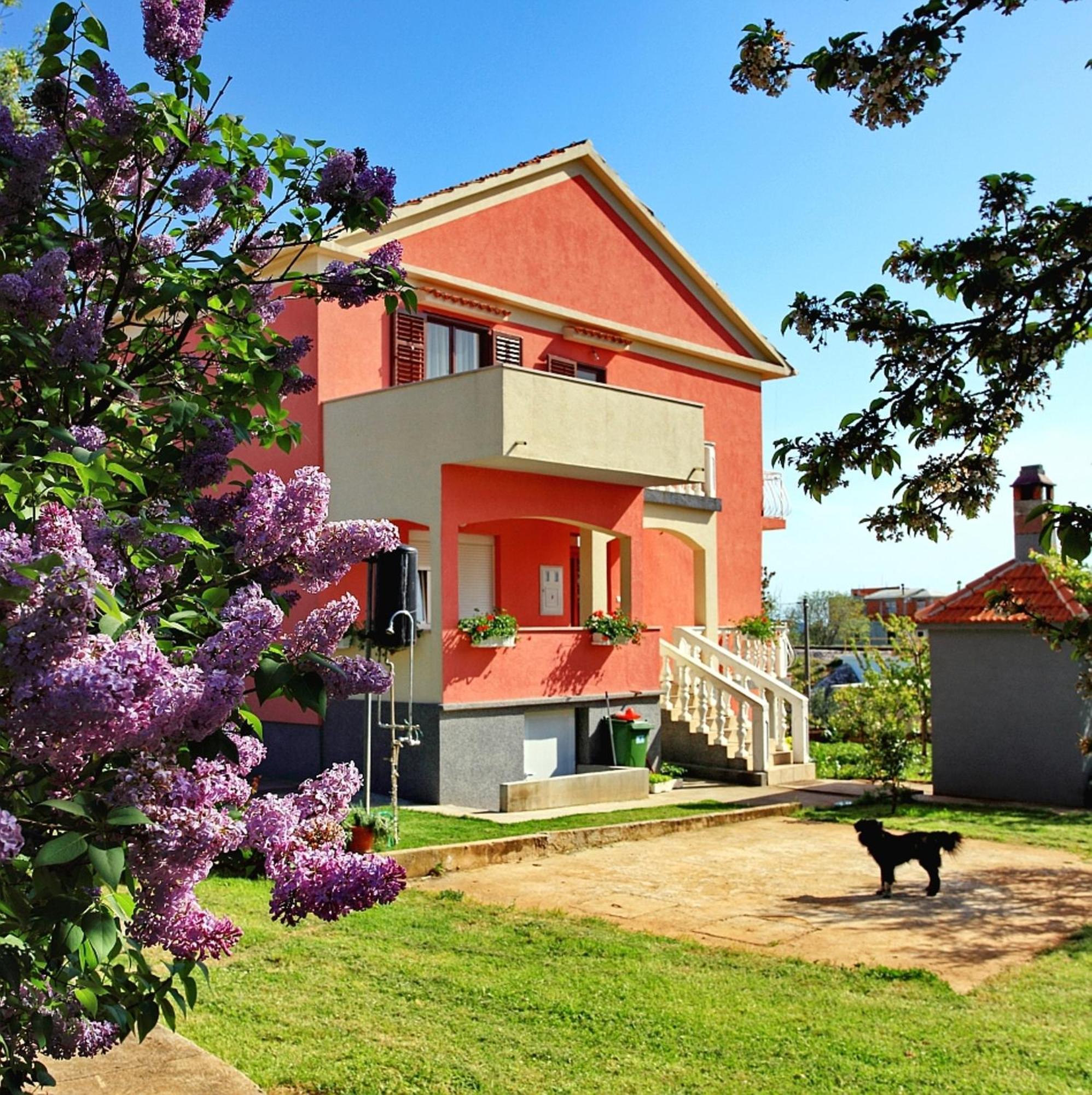 Apartments Soric Bibinje Εξωτερικό φωτογραφία
